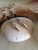 Bohemian Spiral Shell Leather Big Earrings