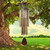 Outside Deep Tones Outdoor Hummingbird Wind Chime