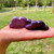 Phosphosiderite Gemstone Cloud Healing Reiki Ornament