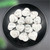 1PC Heart Shaped  Sun Shell Specimen Decoration