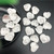 1PC Heart Shaped  Sun Shell Specimen Decoration