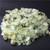 Polished Natural Healing Crystal Tumbled Gemstones Chips