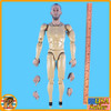 Professional Leon - Nude Figure w/ Head & Hands - 1/6 Scale -