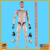 Commando Parachutiste - Nude Figure - 1/6 Scale -