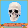 HRT Minuteman ShotShow - Skull Headsculpt & Display - 1/6 Scale