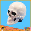 HRT Minuteman ShotShow - Skull Headsculpt & Display - 1/6 Scale