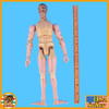 US Sniper - Nude Figure - 1/6 Scale Part - InToyz