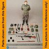 Polizei DIV Friedrich - Grey Shirt - 1/6 Scale Part - DID
