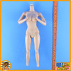 Kim Korean Garrison - Female Nude Body - 1/6 Scale -