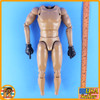 Mountain Warrior - Nude Body w/ Hands - 1/6 Scale -