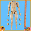 Finnish Soldier WWII - Nude Figure w/ Hands - 1/6 Scale -
