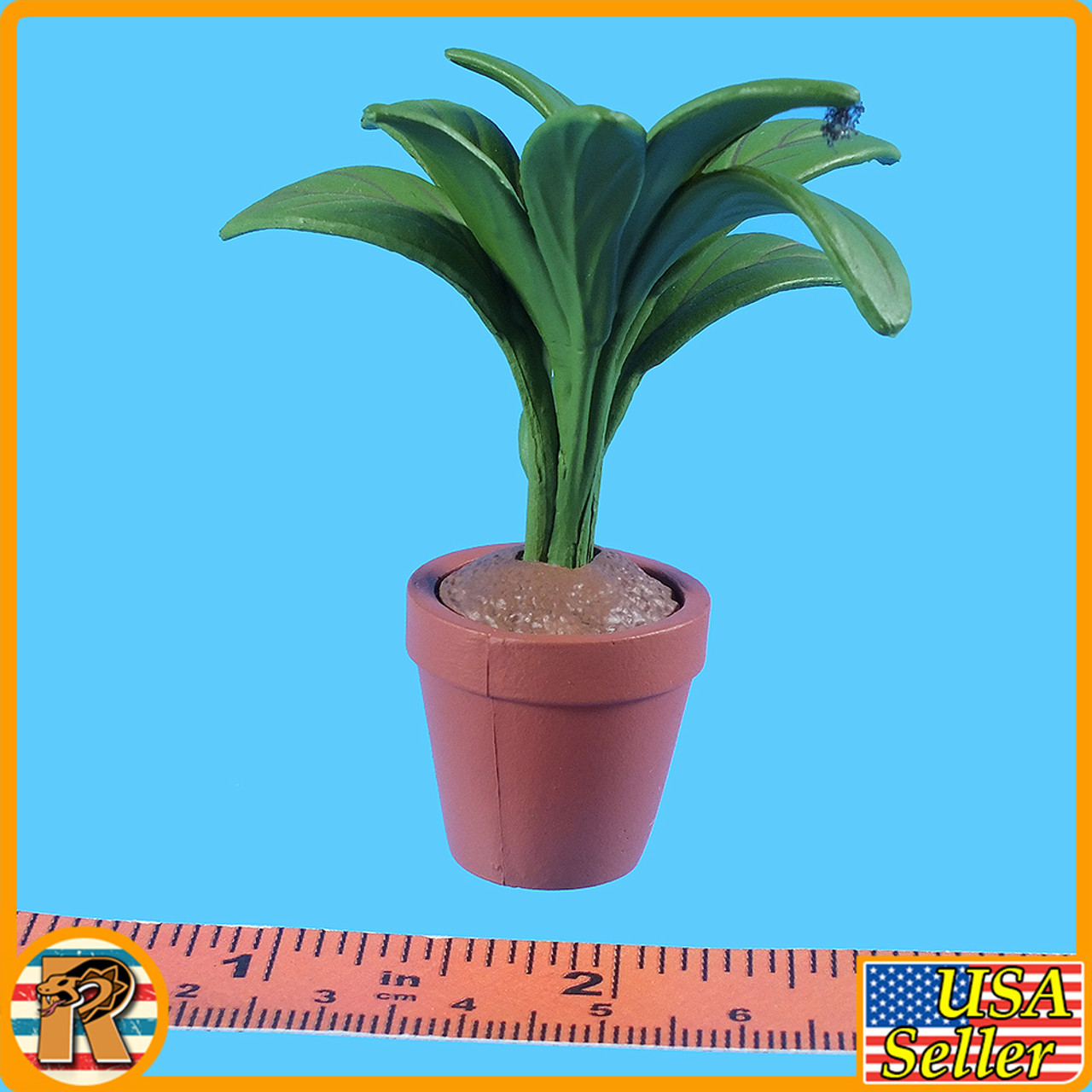 Professional Leon - Potted Plant - 1/6 Scale -