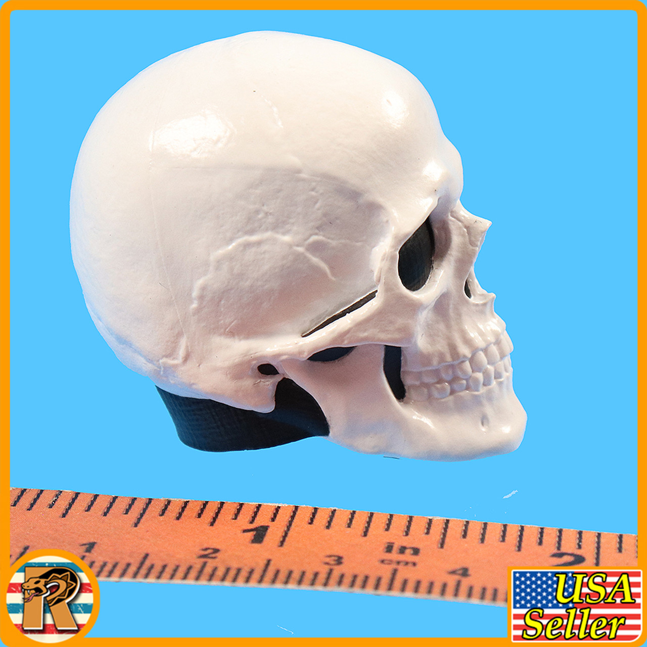 HRT Minuteman ShotShow - Skull Headsculpt & Display - 1/6 Scale