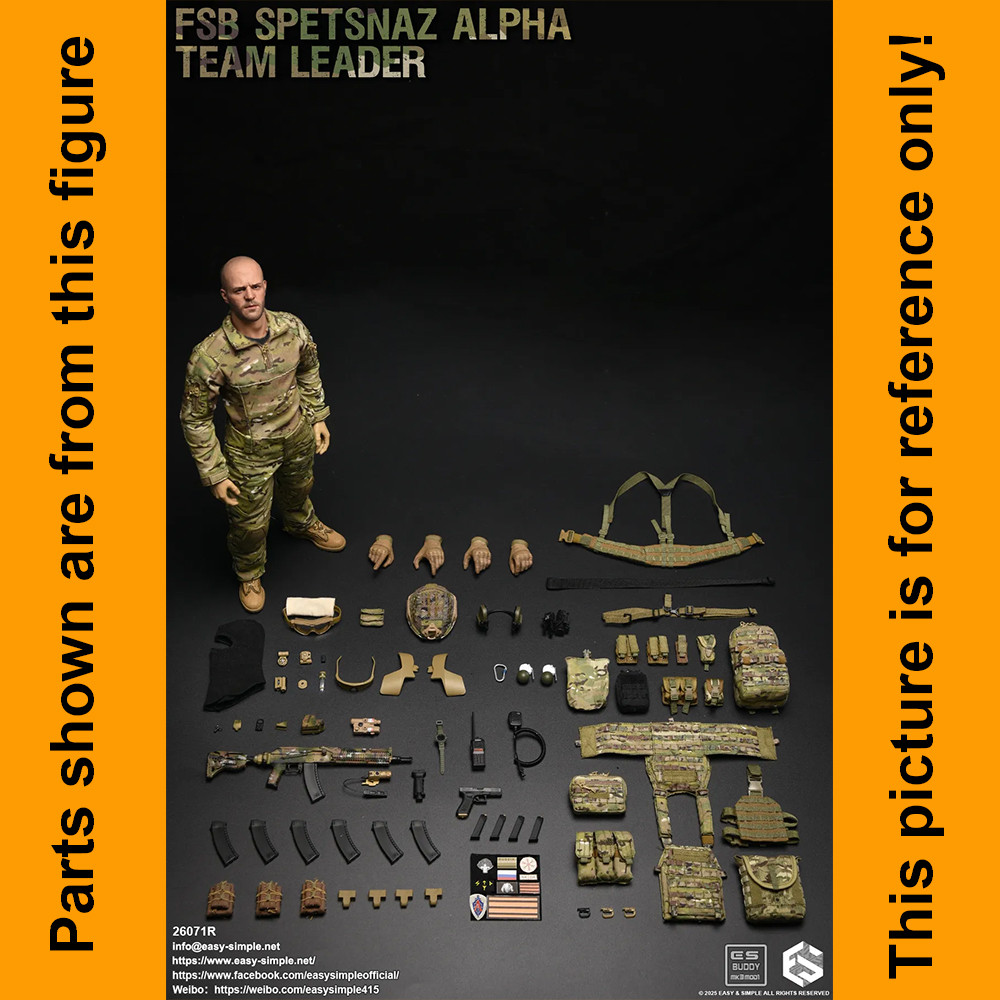 FSB Alpha Team Leader R - Airframe Helmet Set - 1/6 Scale