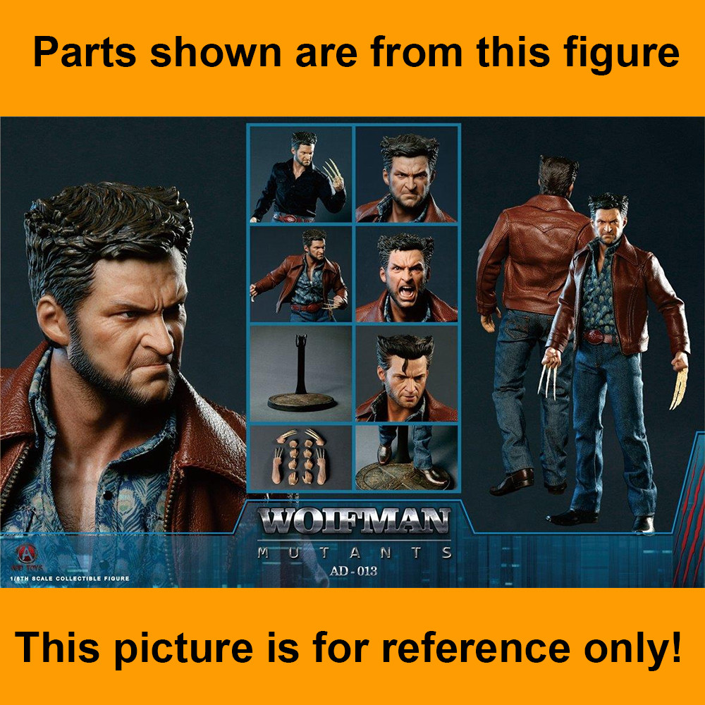 Wolfman Mutant Wolverine - Posed Arms w/ Claws #1 - 1/6 Scale