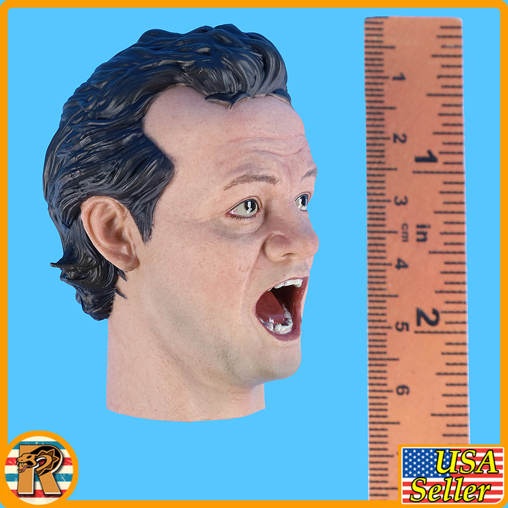 Ghost Hunting Squad - Screaming Venkman Head #2 - 1/6 Scale