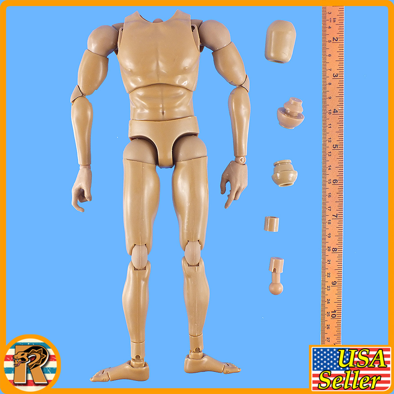 VH Male Nude Body Set w/ xtra Necks- 1/6 Scale -