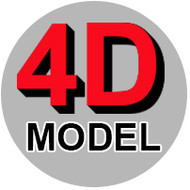 4D