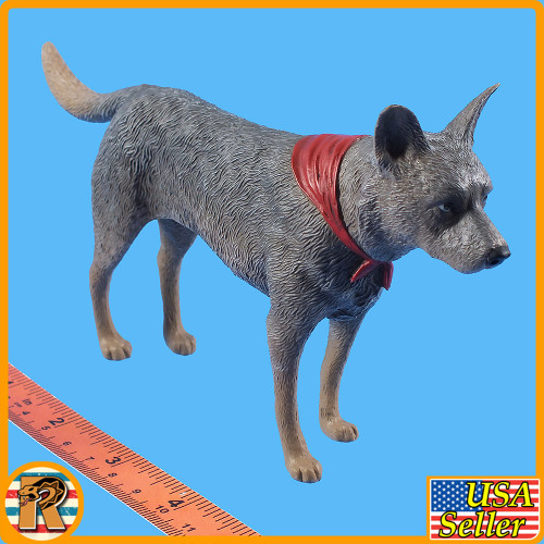 DX Max - Cattle Dog - 1/6 Scale -