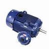 Marathon Electric E596, 300 Hp, 1800 Rpm, 449T FR, 460 Vac, 3 PH, EPFC, NEMA Premium Efficiency, 449TTGS16554.