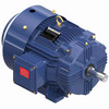 GT1024A, 20 Hp, 3600 Rpm, 256T FR, 230/460 Vac, 3 PH, TEFC, Rigid Base, General Purpose Motor, 256TTFCD6001
.