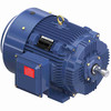 GT1136A, 50 Hp, 3600 Rpm, 326TS FR, 575 Vac, 3 PH, TEFC, Rigid Base, General Purpose Motor, 326TSTFCD6005.