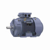 R437, 20 Hp, 1800 Rpm, 160L FR, 575 Vac, 3 PH, TEFC, Rigid Base, Globetrotter IEC Frame Motor, TCA0152AP211GAA009.