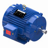S510, 5 Hp, 1200 Rpm, 215T FR, 460 Vac, 3 PH, Kiln Duty, XRI Efficiency, Blue Chip Severe Duty, TEAO, Rigid Base, 215TTTS17077.