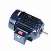 Y570, 30 Hp, 1800 Rpm, 286T FR, 230/460 V, TEFC, Rigid Base, Inverter Duty, Blue Max 2000, 286THFNA8028.