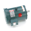 131501.00,  5 & 5 HP, 3 Ph, 60 & 50 Hz, 230/460 & 190/380 V, 1800 & 1500 RPM, 184TC Frame, TEFC, General Purpose Motor, C184T17FC29E