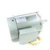 141393.00, 10 HP, 1 Ph, 60 Hz, 230 V, 1800 RPM, 215TZ Frame, TEFC, Crop Dryer Motor, C215K17FB75A