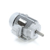171846.60, 5 & 5 HP, 3 Ph, 60 & 50 Hz, 208-230/460 & 190/380 V, 1800 & 1500 RPM, 184TZ Frame, TEFC, Grain Stirring Motor,C184T17FK50A