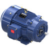 E045, 20 HP, 3 Ph, 60 Hz, 230/460 V, 1800 RPM, 256TC Frame, TEFC, XRI®-SD Severe Duty Motor, 256TTFCD6540