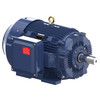 E1250, 125 HP, 3 Ph, 60 Hz, 460 V, 1200 RPM, 445T Frame, TEFC, XRI®-SD Severe Duty Motor, 445TTFCD6685