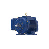 E603B, 7.50 HP, 3 Ph, 60 Hz, 460 V, 3600 RPM, 213T Frame, TENV, XRI®-SD Severe Duty Motor, 213TTTCD6501