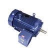 E856A, 200 HP, 3 Ph, 60 Hz, 575 V, 1800 & 1800 RPM, 449T Frame, TEFC, XRI®-SD Severe Duty Motor, 449TTFCD6564