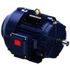 GT10101, 1 HP, 3 Ph, 60 Hz, 230/460 V, 900 & 900 RPM, 182T Frame, TEFC, GlobetrotterÂ® General Purpose Motor, 182TTFCD6101