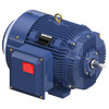 GT1061, 60 & 50 HP, 3 Ph, 60 & 50 Hz, 230/460 & 190/380 V, 1800 & 1500 RPM, 364TS Frame, TEFC, Globetrotter® General Purpose Motor, 364TSTFCD6036