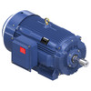GT1078, 350 & 300 HP, 3 Ph, 60 & 50 Hz, 460 & 380 V, 1800 & 1500 RPM, 449T Frame, TEFC, Globetrotter® General Purpose Motor, 449TTFCD6036