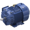 GT1825, 20 HP, 3 Ph, 60 Hz, 200/400 V, 1800 RPM, 256T Frame, TEFC, GlobetrotterÂ® General Purpose Motor, 256TTFCD6039