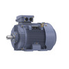 R348B, 50 & 40 HP, 3 Ph, 60 & 50 Hz, 230/460 & 200/400 V, 3600 & 3000 RPM, 200L Frame, TEFC, Cast Iron Motor, TCA0371AE211GAA009