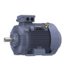 R349B, 50 & 40 HP, 3 Ph, 60 & 50 Hz, 230/460 & 200/400 V, 1800 & 1500 RPM, 225S Frame, TEFC, Cast Iron Motor, TCA0372AE211GAA009