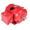 U534B, 150 & 125 HP, 3 Ph, 60 & 50 Hz, 460 & 380 V, 3600 & 3000 RPM, 405TS Frame, DP, Fire Pump Motor, 405TSTDCD14306