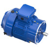 W025-P, 5 HP, 3 Ph, 60 Hz, 460 V, 1800 RPM, 184TCV Frame, TEFC, XRIÂ®-841 Severe Duty Motor, 184THFCD9040