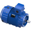 W080-P, 50 HP, 3 Ph, 60 Hz, 460 V, 1800 RPM, 326TCV Frame, TEFC, XRIÂ®-841 Severe Duty Motor, 326THFCD9040