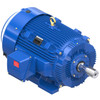 W613A, 150 HP, 3 Ph, 60 Hz, 575 V, 1800 & 1800 RPM, 445T Frame, TEFC, XRI®-841 Severe Duty Motor, 445THFCD9037 W613A, 150 HP, 3 Ph, 60 Hz, 575 V, 1800 & 1800 RPM, 445T Frame, TEFC, XRI®-841 Severe Duty Motor, 445THFCD9037