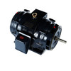 Y1619, 50 & 40 HP, 3 Ph, 60 & 50 Hz, 230/460 & 190/380 V, 3600 & 3000 RPM, 326TS Frame, TEFC, Fire Pump Motor, 326TSTFPA14013