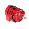 Y1624, 60 & 50 HP, 3 Ph, 60 & 50 Hz, 230/460 & 190/380 V, 1800 & 1500 RPM, 364T Frame, TEFC, Fire Pump Motor, 364TTFS14064