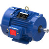Y381, 5 & 1.25 HP, 3 Ph, 60 Hz, 460 & 460 V, 1800 & 1800 RPM, 213T Frame, TEFC, Multispeed Motor, 213TTFS7238