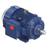 Y576A, 125 HP, 3 Ph, 60 Hz, 460 V, 1800 RPM, 444T Frame, TEFC, Blue MaxÂ® Inverter Duty Encoder Motor, 444THFCD8036